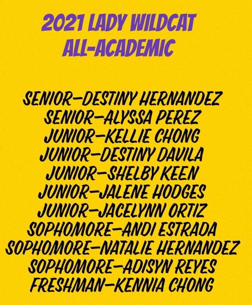 All Academic Volleyball